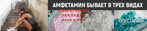 PSILOCYBIN Слюдянка