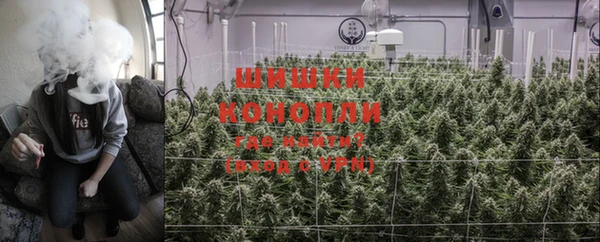 PSILOCYBIN Слюдянка