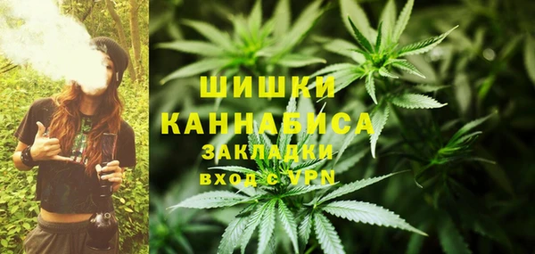 PSILOCYBIN Слюдянка